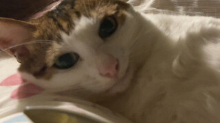 The feud over my mother's death is irreconcilable.