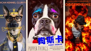 让狗子来复刻一下奥斯卡最佳影片的海报‼️