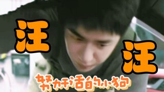 不是所有的男人都有资格做小狗的，但是陈烁可以！陈烁就是全天下最可爱的小狗！
