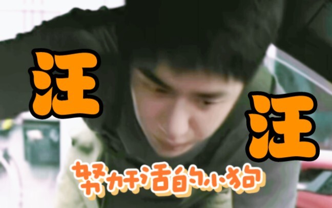 不是所有的男人都有资格做小狗的，但是陈烁可以！陈烁就是全天下最可爱的小狗！