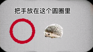 Karl hopes you're happy every day...