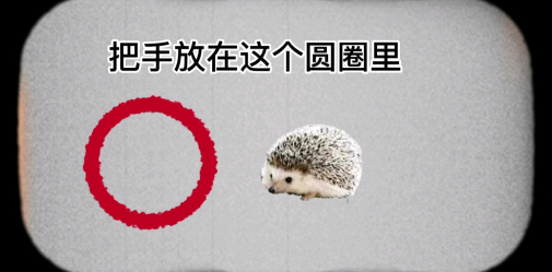 كارل يتمنى لك أن تكون سعيدًا كل يوم...