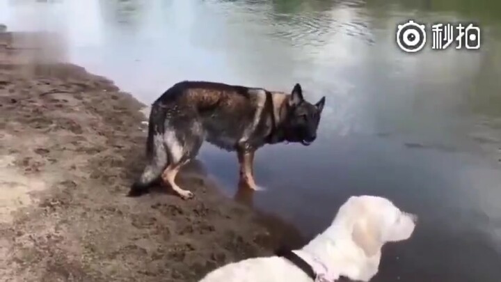 เห็นสาวสวย