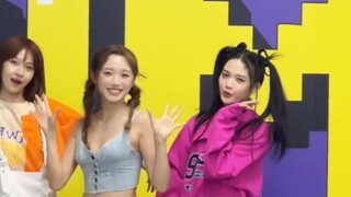 Chúng tôi giống như những chú chó con hạnh phúc! 】Choi Ye Na ghét Rodrigo