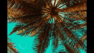 Jason_M - When we were young | Good Vibes EDM Music