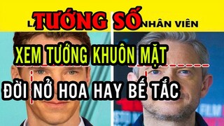 Xem Tướng Khuôn Mặt Biết Ngay Cuộc Đời Nở Hoa Hay Bế Tắc, Không Cần Phải Đi Xem Bói