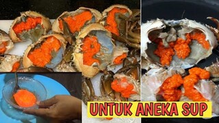 CARA BUAT TELOR KEPITING IMITASI || MUDAH & ENAK SEKALI.