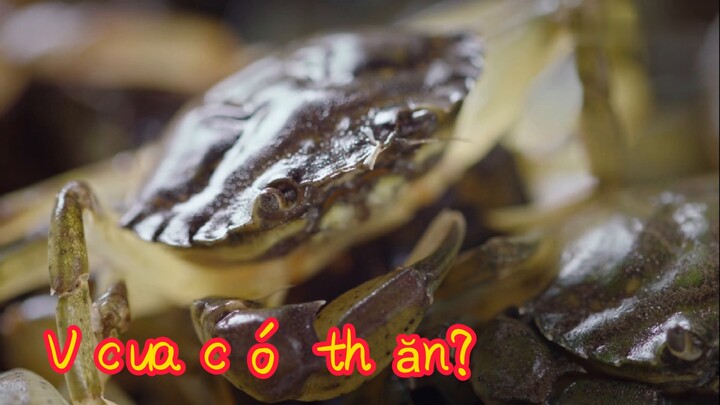 Vỏ cua có thể ăn?