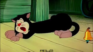 老鼠专家帮助同伴制服老猫，可最终却丢掉了性命