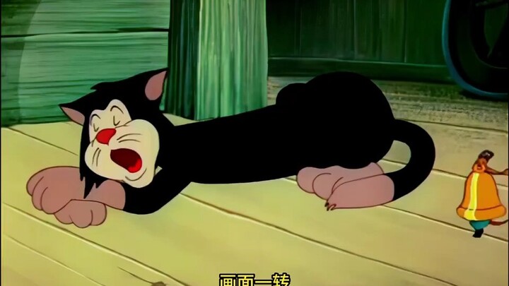 老鼠专家帮助同伴制服老猫，可最终却丢掉了性命