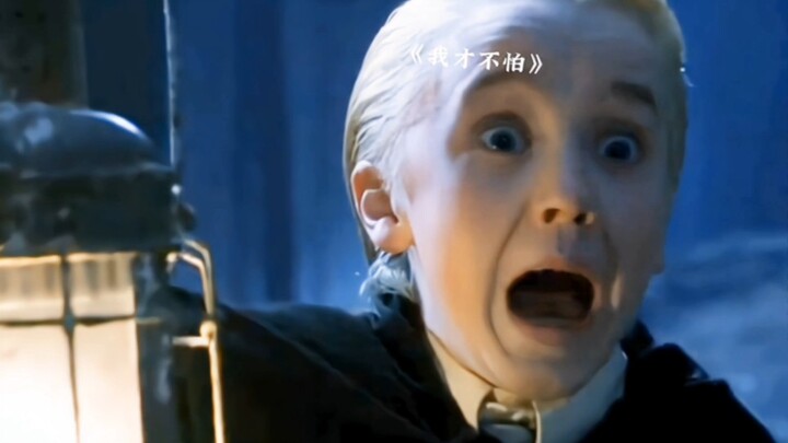 《斯莱特林首席显眼包》