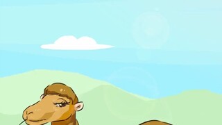 这种极具特色的鼻子你见过吗