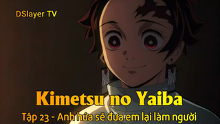 Kimetsu no Yaiba Tập 23 - Anh hứa sẽ đưa em lại làm người