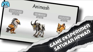 About Animash