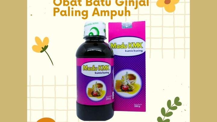 Obat Batu Ginjal Paling Ampuh