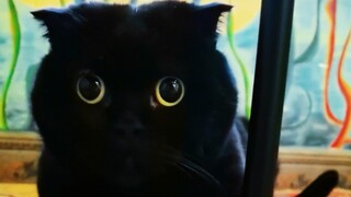 Does Qian Sui Sui really know what color he is? I'm completely confused!