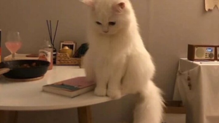 Another Love - Tom Odell lyrics