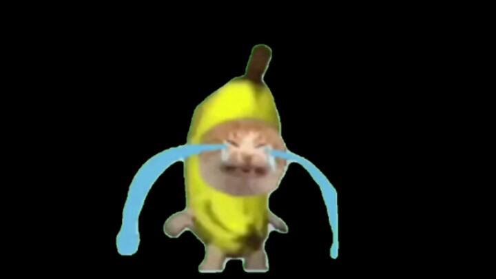 I finally tracked down the original source of the crying banana cat!! The first on the entire intern