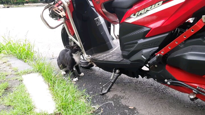 mencari sesuatu yg tak terlihat