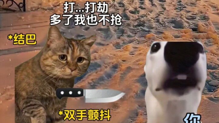 Năm đó ở Cáp Nhĩ Tân không phải tuyết rơi #Tái hiện chân thực #Quyển Uyển Đình #Cộng hưởng cảm xúc #