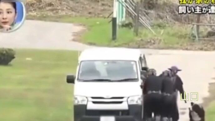 [Phục hồi chức năng thanh niên bóng chuyền] Thay bữa ăn lạ nhưng ít bóng chuyền