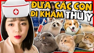 CHẬT VẬT BÊ THÚ CƯNG ĐI BÁC SĨ, LINH KHÓC THÉT