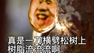 以前的幻昼 和 现在的幻昼