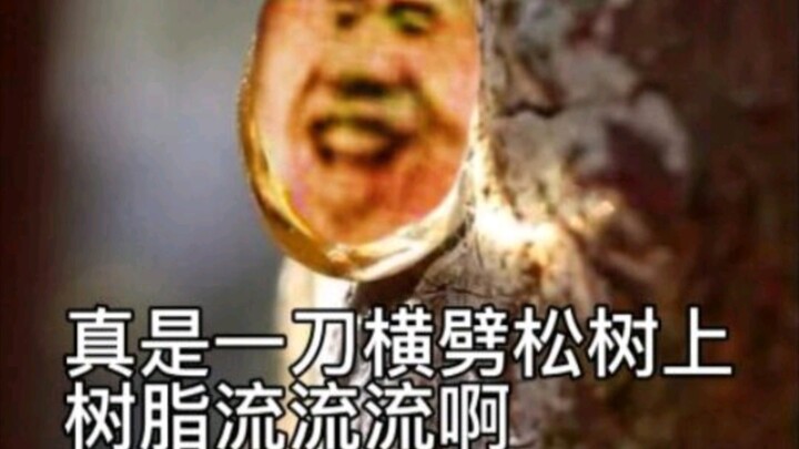 以前的幻昼 和 现在的幻昼