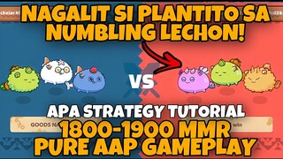 V2 NEW UPDATE BEST AAP STRATEGY TO WIN ARENA | NISKY AAP AXIE ARENA STRATEGY
