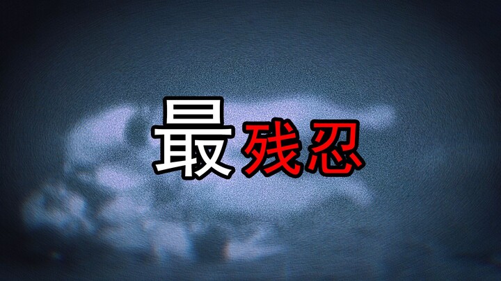 Cara kematian paling kejam! Mengungkap misteri insiden kapal Dolphin Baiford!