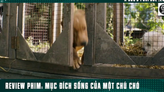 [Review Phim]Chú Chó Trung Thành Làm Mai Mối Giúp Ông Chủ Có Vợ p1