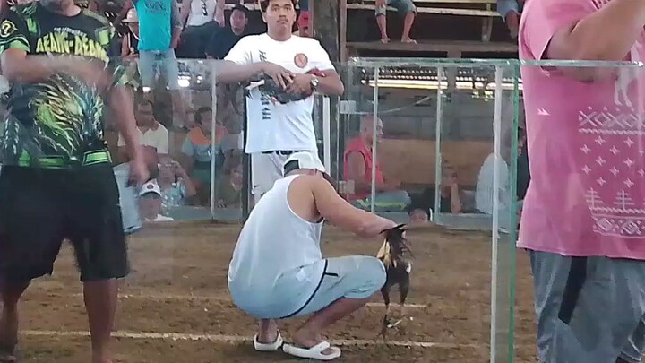 devil grey roundhead x McLean 💪💪💪👌