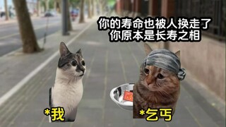 طبيعة الحياة التي تم تبديلها