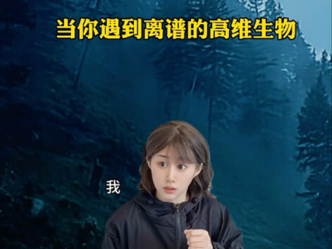 When You Encounter an Absurd High-dimensional Being