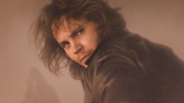 Sự xuất hiện của Vua Bài khiến người ta ấn tượng sâu sắc