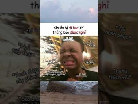 ảnh chế meme thiếu muối || NTM AC #shorts #short