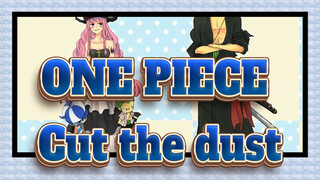 ONE PIECE|Zoro:I was born in a troubled world -I should cut through the dust