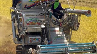 mesin pemotong padi