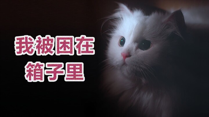 Bất cứ nhà tù nào trong bất kỳ thế giới nào, tình yêu cũng có thể phá cửa mà bước vào.