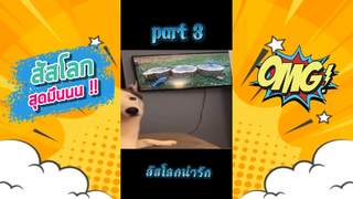 สัสโลกสุดมึน