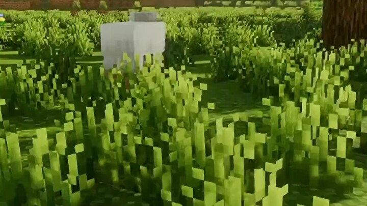 American yaa hallo~~