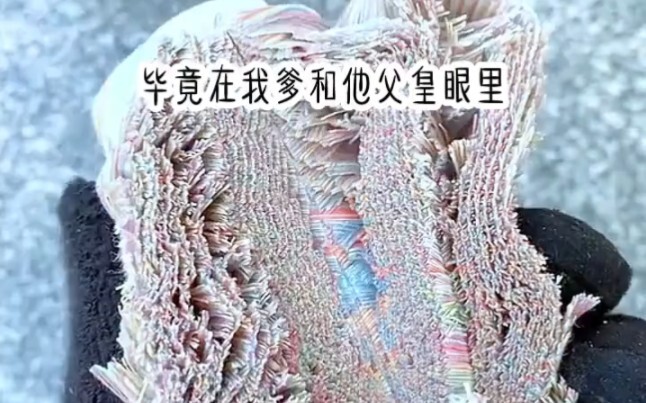 茗：明月：一梦浮生。重生爽文