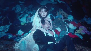 Love Wins All (IU &Taehyung )mv