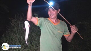 Cắm Câu CÁ LÓC Nấu "Cháo Bụi" Đêm Khuya | Hội Ngộ Miền Tây - Tập 372