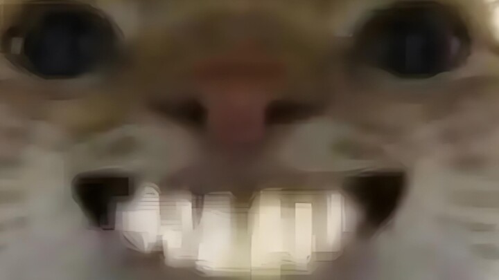 Kiểm tra đột xuất o(*≧▽≦)ツ┏━┓