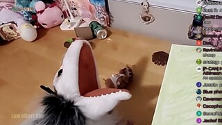 Opossum blind boxes