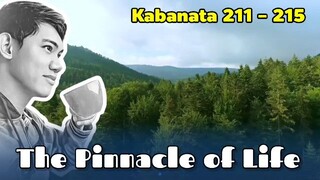 The Pinnacle of Life / Kabanata 211 - 215