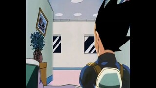When there is something dirty in Vegeta's room
