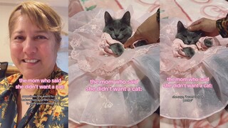 Ibu bilang dia tidak ingin memelihara kucing