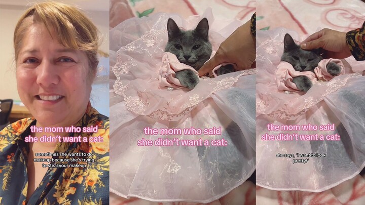 Mẹ nói mẹ không muốn nuôi mèo